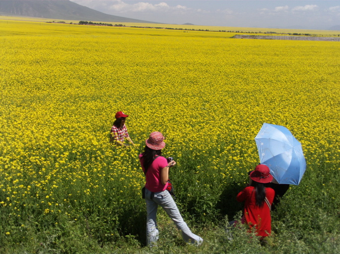 013F6B9508462B17FF8080813F6862D1